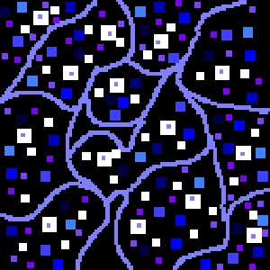 Montana Star Gazers Logo